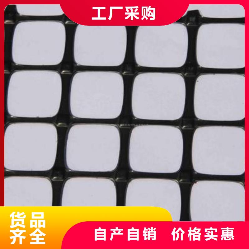 双向塑料土工格栅_护坡土工网支持拿样