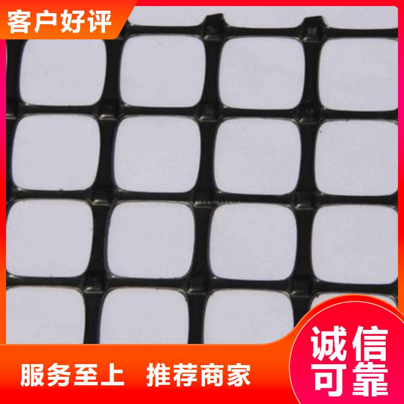 双向塑料土工格栅三维植被网保障