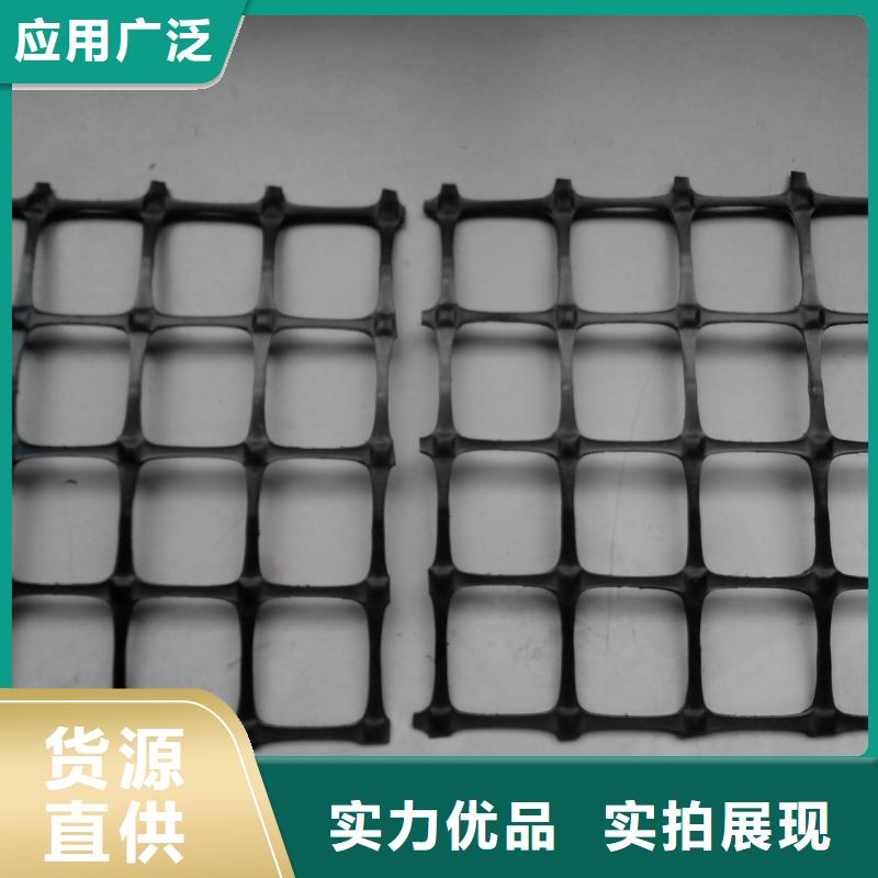 双向塑料土工格栅_土工席垫设计合理