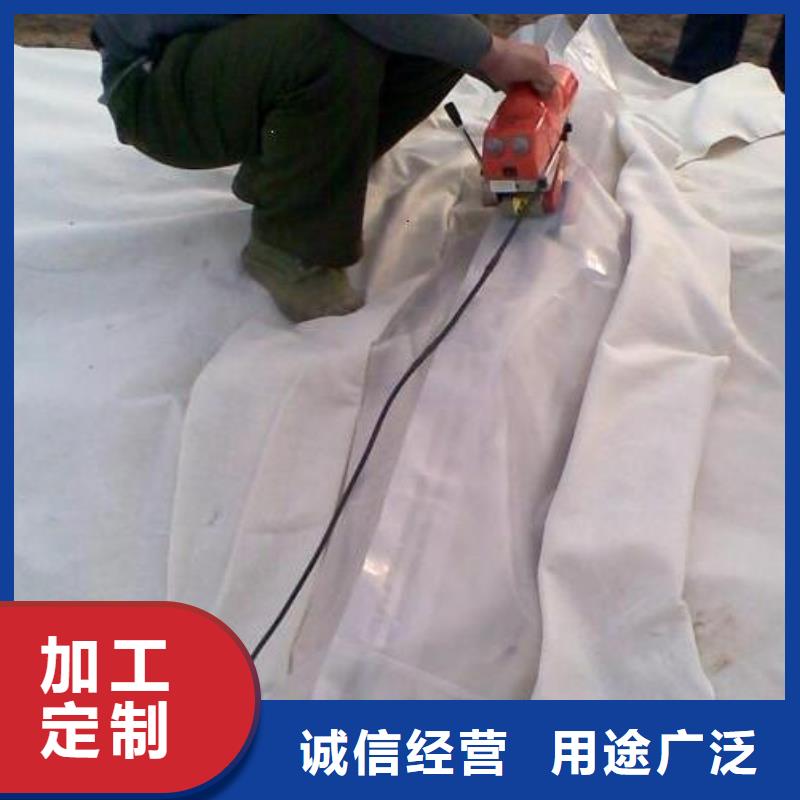 双向拉伸土工格栅视频-博白|容县|柳州|梧州|钦州|南宁|防城港|贺州双向拉伸土工格栅按需定做-鼎诺土工材料(玉林市分公司)