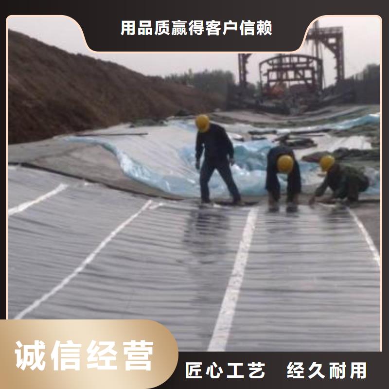 【土工膜】长丝土工布现货充足量大优惠-鼎诺土工材料(榆林市分公司)
