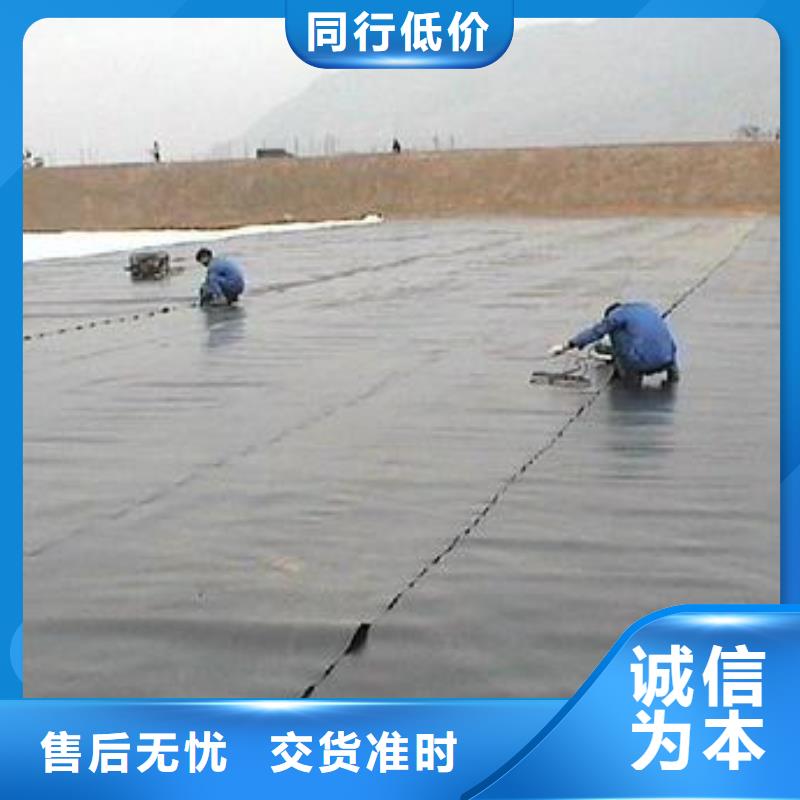 土工膜,凸结点钢塑土工格栅专注质量