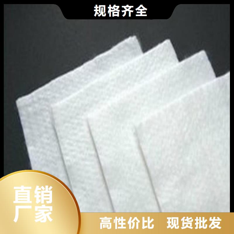 土工布单向拉伸塑料格栅诚信可靠