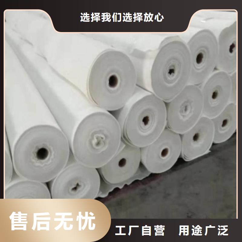 双向拉伸土工格栅视频-双向拉伸土工格栅(鼎诺)覆盖地域青海省海东市海南|西宁|玉树|黄南|海西|果洛