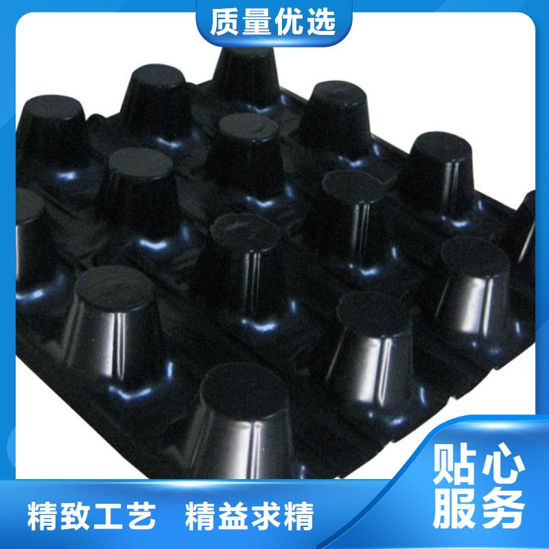 蓄排水板护坡土工网诚信经营现货现发