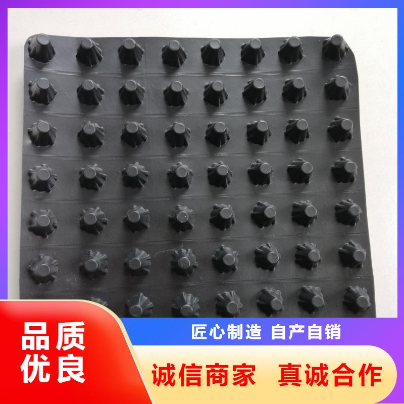 蓄排水板护坡土工网诚信经营现货现发