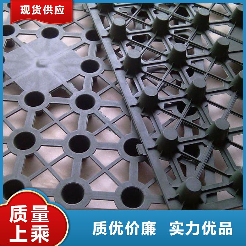 双向拉伸土工格栅视频-双向拉伸土工格栅|林芝市|墨脱|波密|那曲|阿里|昌都|日喀则|山南