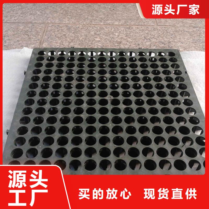 蓄排水板长丝土工布现货批发