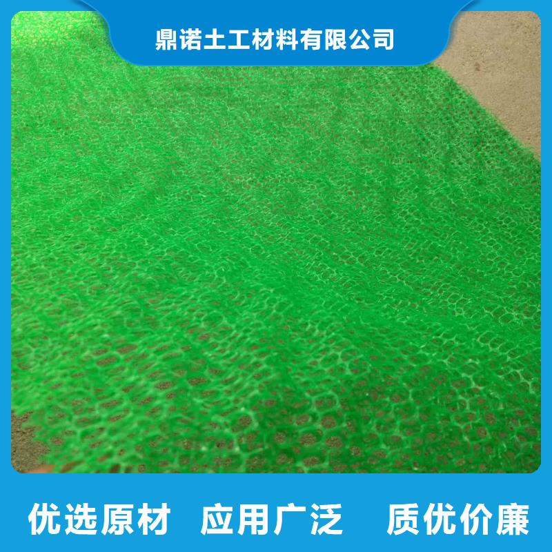 三维植被网玻纤格栅现货充足