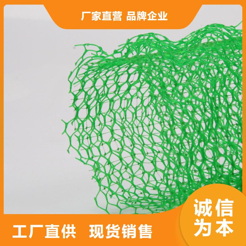 三维植被网复合土工膜规格型号全
