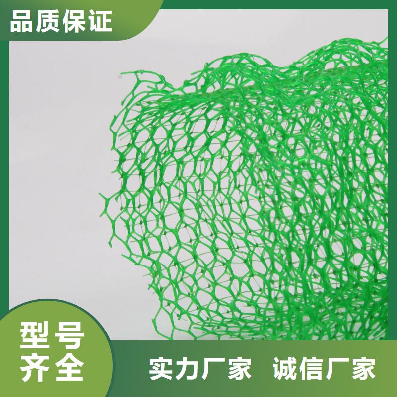 三维植被网水土保护毯优势