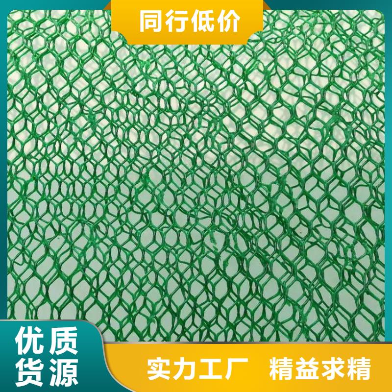 三维植被网玻纤格栅现货充足