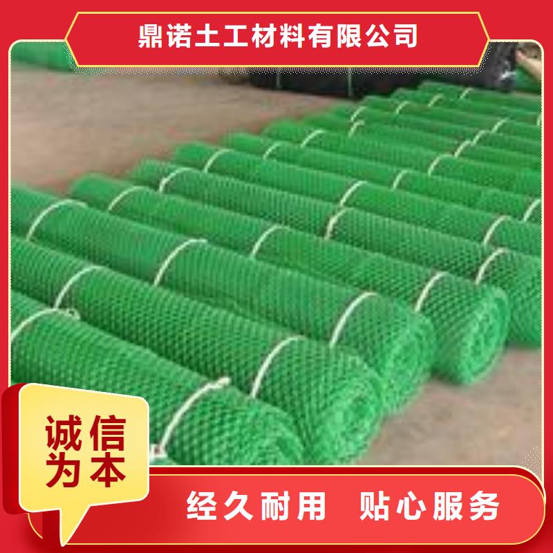 三维植被网复合土工膜规格型号全