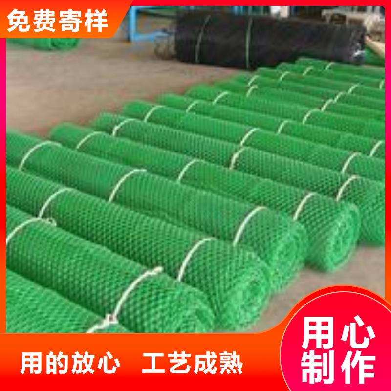 三维植被网厂家销售-鼎诺土工材料(盐城市分公司)-通金宝