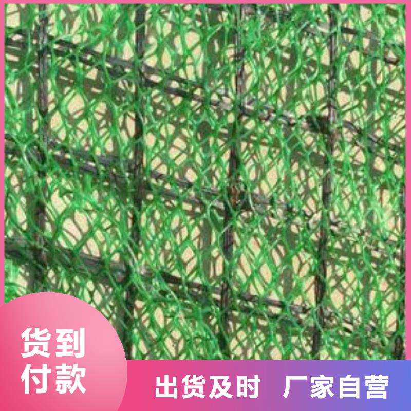 三维植被网土工布N年专注