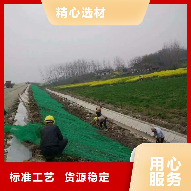 三维植被网厂家销售-鼎诺土工材料(盐城市分公司)-通金宝