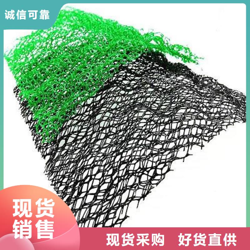 三维植被网厂家销售-鼎诺土工材料(盐城市分公司)-通金宝