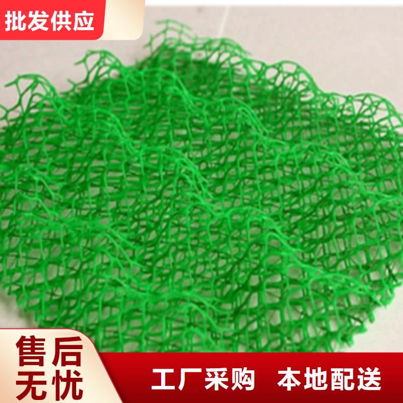 三维植被网厂家销售-鼎诺土工材料(盐城市分公司)-通金宝