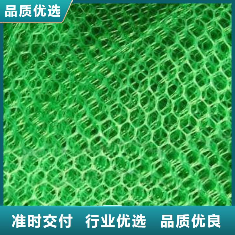 【三维植被网塑料盲沟让利客户】