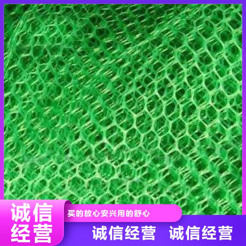 三维植被网玻纤格栅厂家直接面向客户