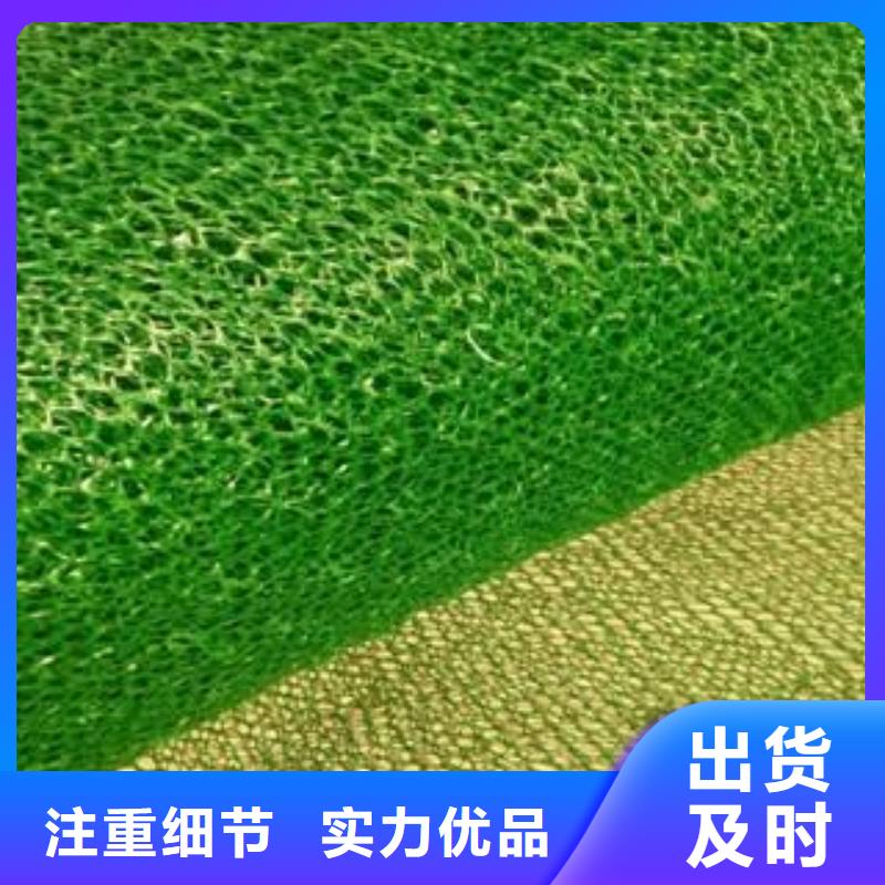 三维植被网厂家销售-鼎诺土工材料(盐城市分公司)-通金宝