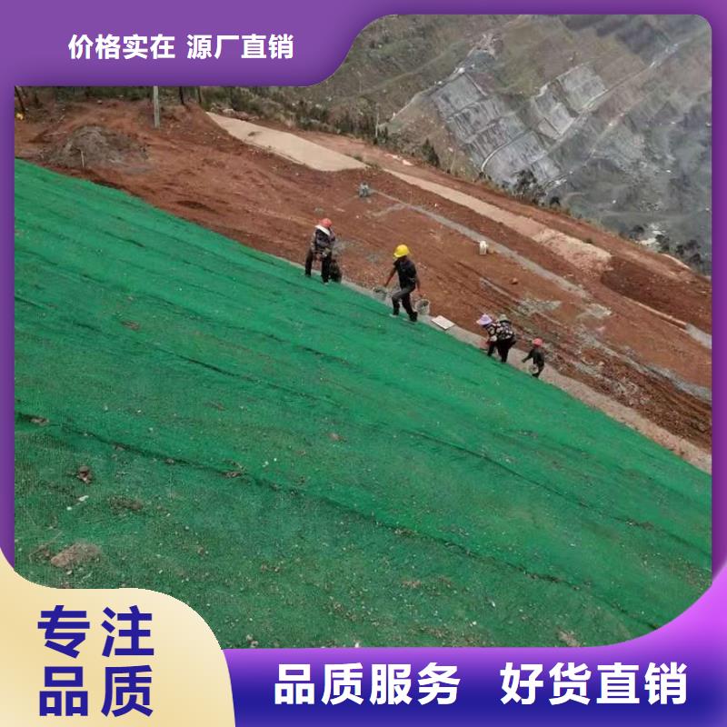 三维植被网玻纤格栅现货充足