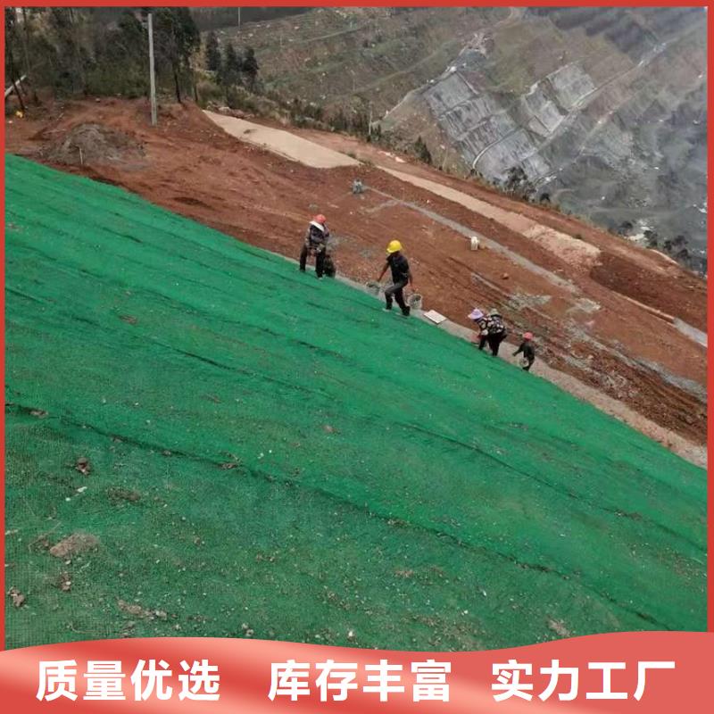 三维植被网厂家销售-鼎诺土工材料(盐城市分公司)-通金宝
