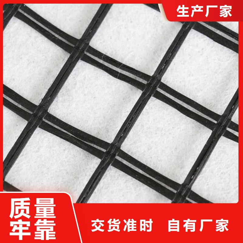 玻纤土工格栅,水土保护毯实力工厂