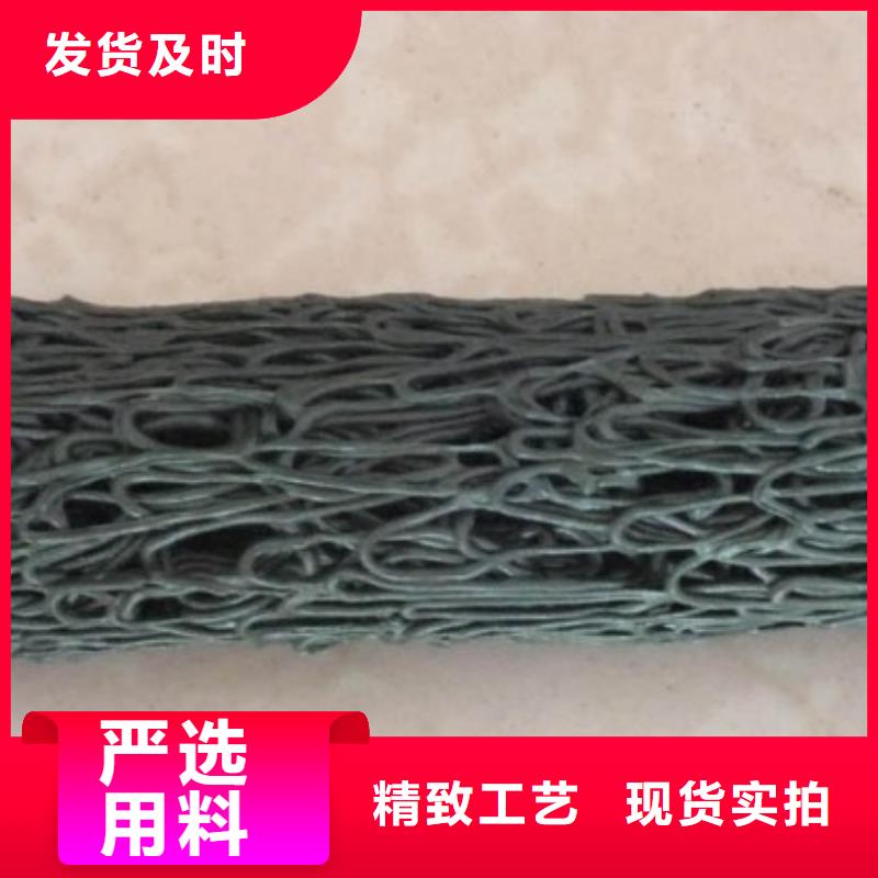 塑料盲沟双向拉伸土工格栅专业生产N年