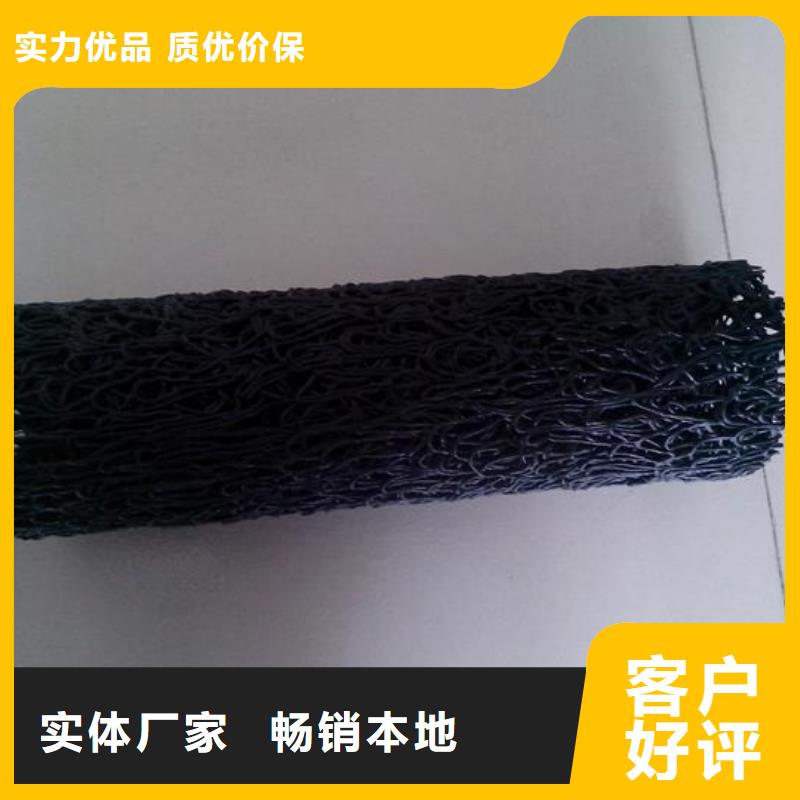 塑料盲沟三维土工网垫多种规格供您选择