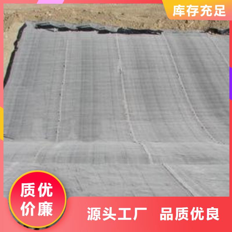 膨润土防水毯三维复合排水网现货交易