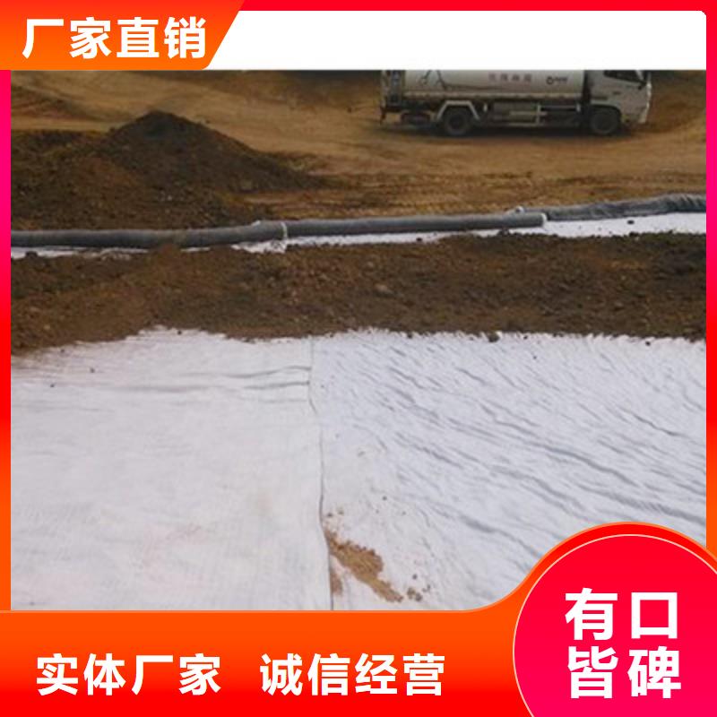 双向拉伸土工格栅视频-甘肃省金昌市|平凉|嘉峪关|甘南|陇南|天水|庆阳|白银双向拉伸土工格栅-鼎诺