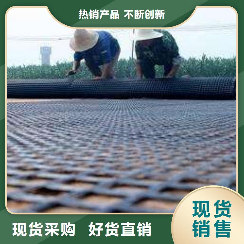 三维植被网厂家亿路通【钢塑土工格栅】三维水土保护毯价格合理