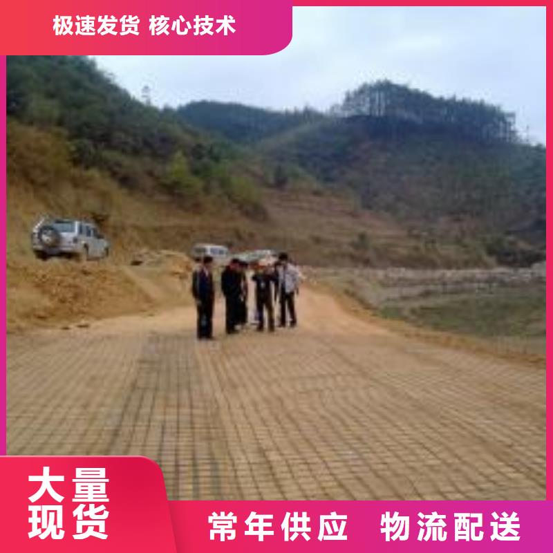 钢塑土工格栅膨润土防水毯质检合格发货