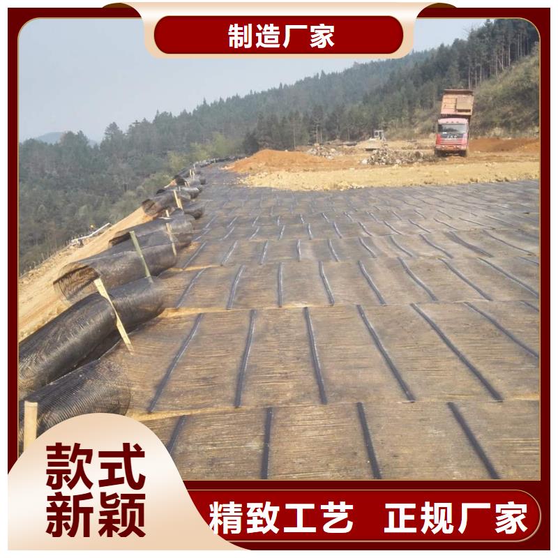 钢塑土工格栅三维土工网垫质量优选