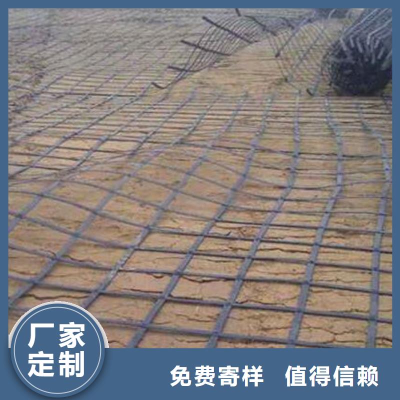 三维植被网厂家亿路通【钢塑土工格栅】三维水土保护毯价格合理
