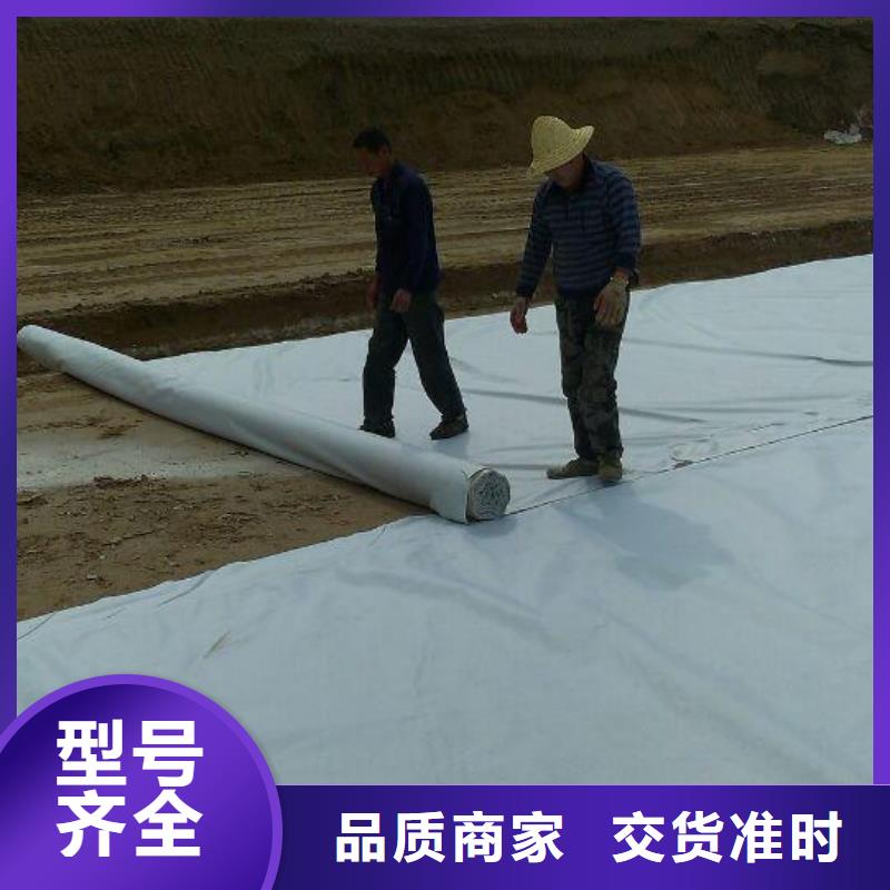 三维植被网厂家视频-三维植被网厂家-山东省济南市商河|槐荫|济宁|日照|烟台|淄博【本地】厂家