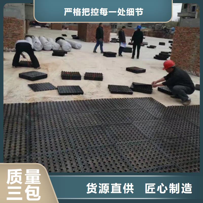 塑料排水板玻璃纤维土工格栅原厂制造