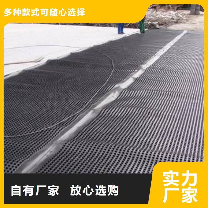 塑料排水板HDPE土工膜一站式采购方便省心