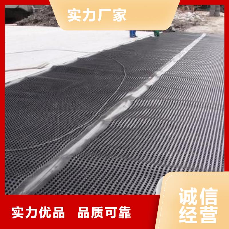 塑料排水板土工席垫今年新款