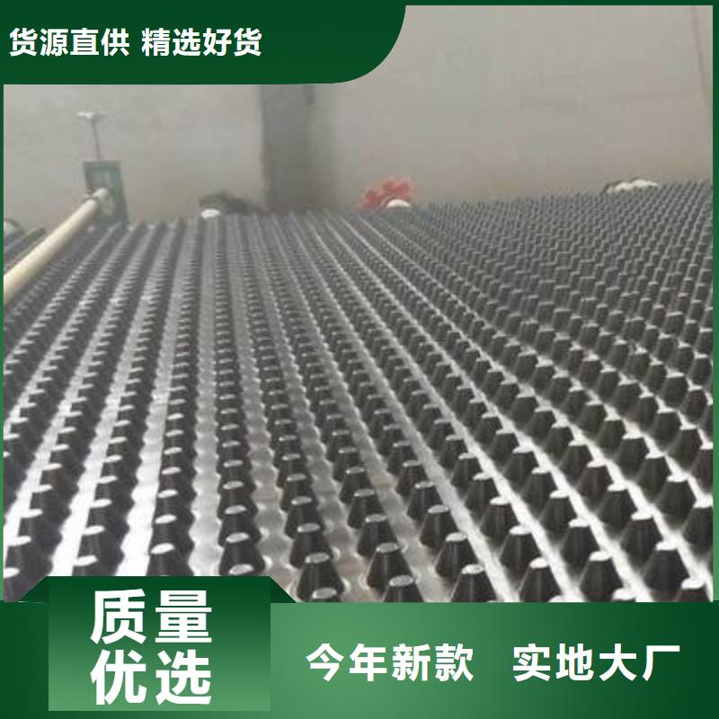 塑料排水板玻璃纤维土工格栅符合行业标准