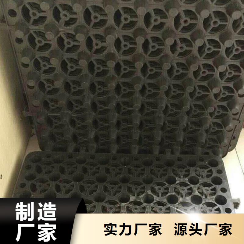 三维植被网厂家-视频-重庆市三维植被网厂家-【周边】可服务区域丰都|璧山|武隆|北碚