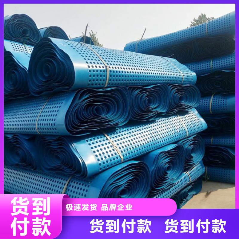 塑料排水板土工席垫今年新款