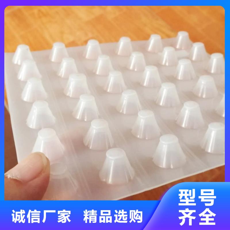 塑料排水板-复合土工膜实拍品质保障