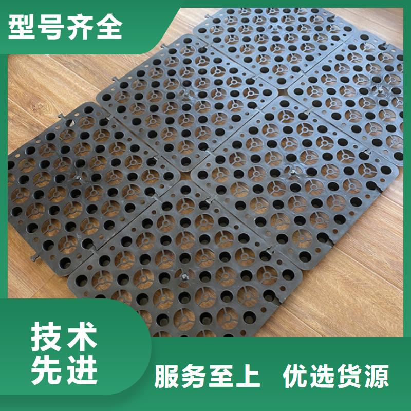 塑料排水板-复合土工膜实拍品质保障