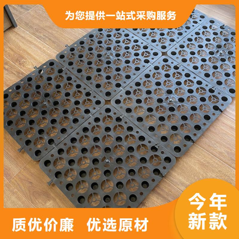 【塑料排水板】双向塑料土工格栅海量现货