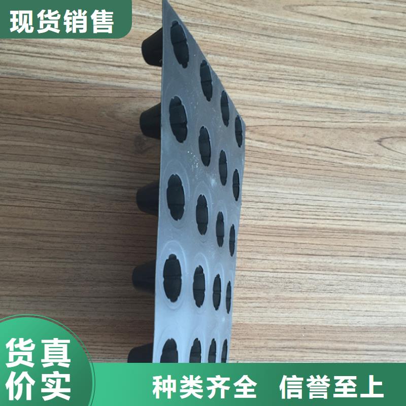 塑料排水板-复合土工膜实拍品质保障