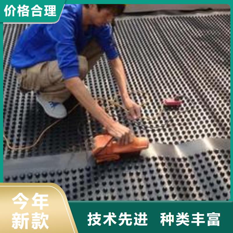 塑料排水板玻璃纤维土工格栅原厂制造