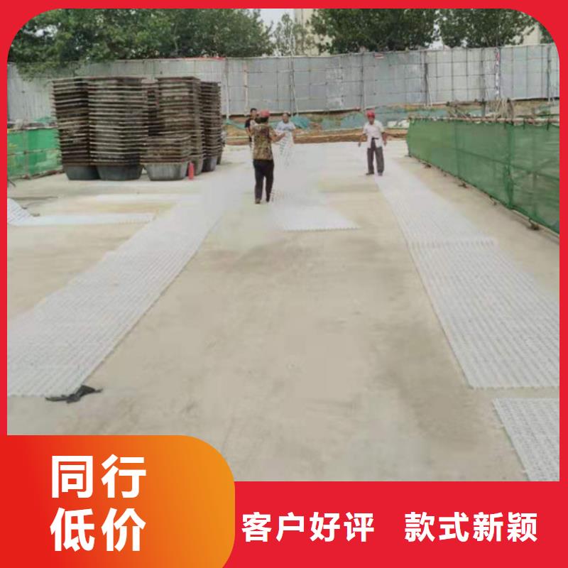 三维植被网厂家-视频-重庆市三维植被网厂家-【周边】可服务区域丰都|璧山|武隆|北碚