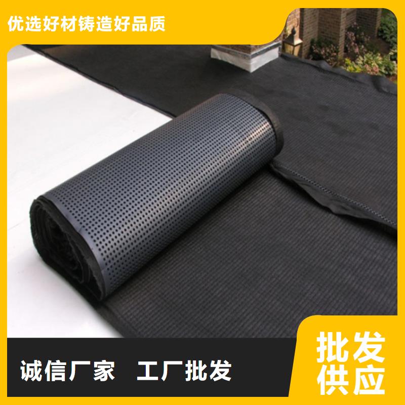 塑料排水板土工席垫今年新款